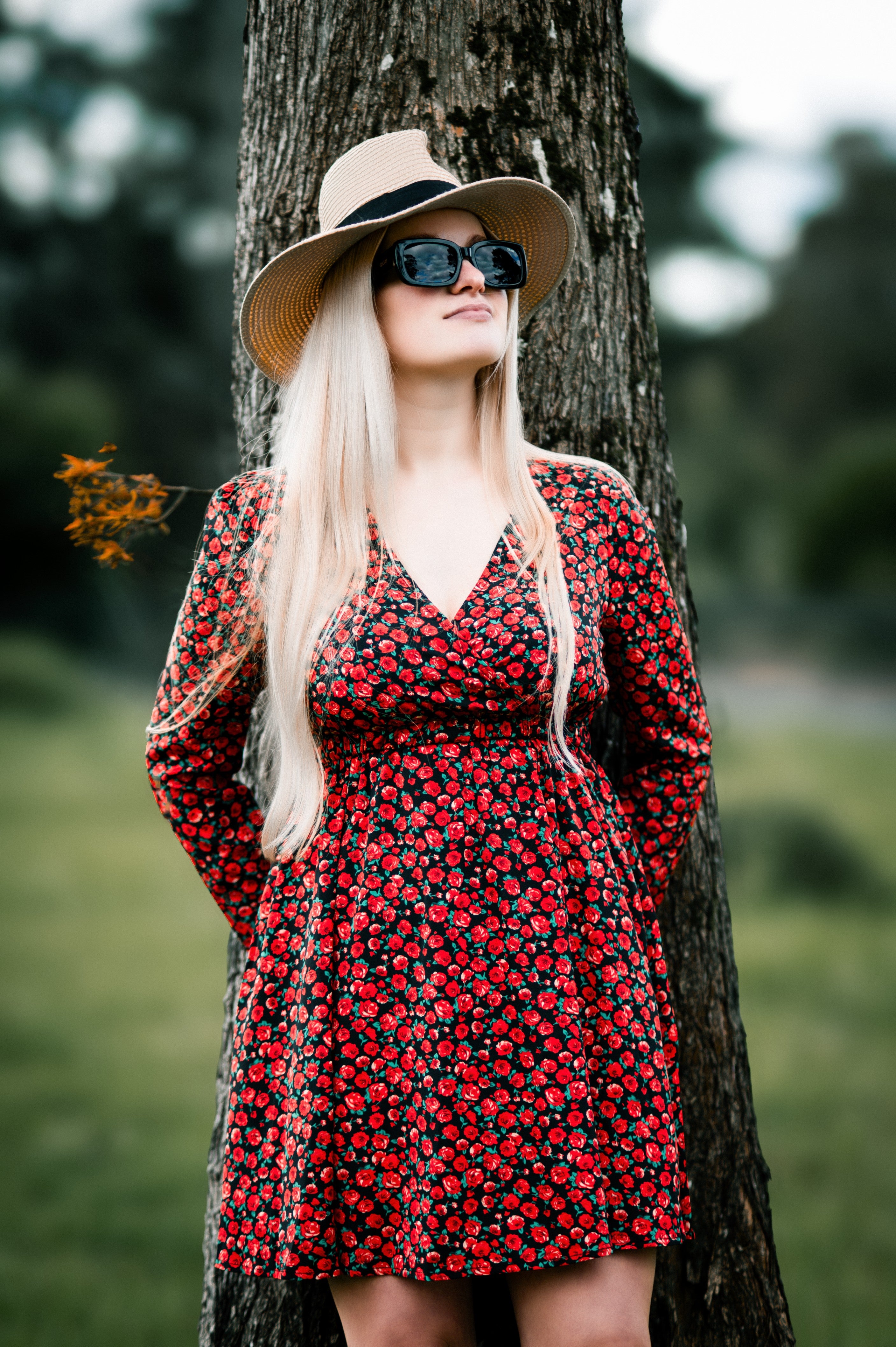 Women Floral Print Dress