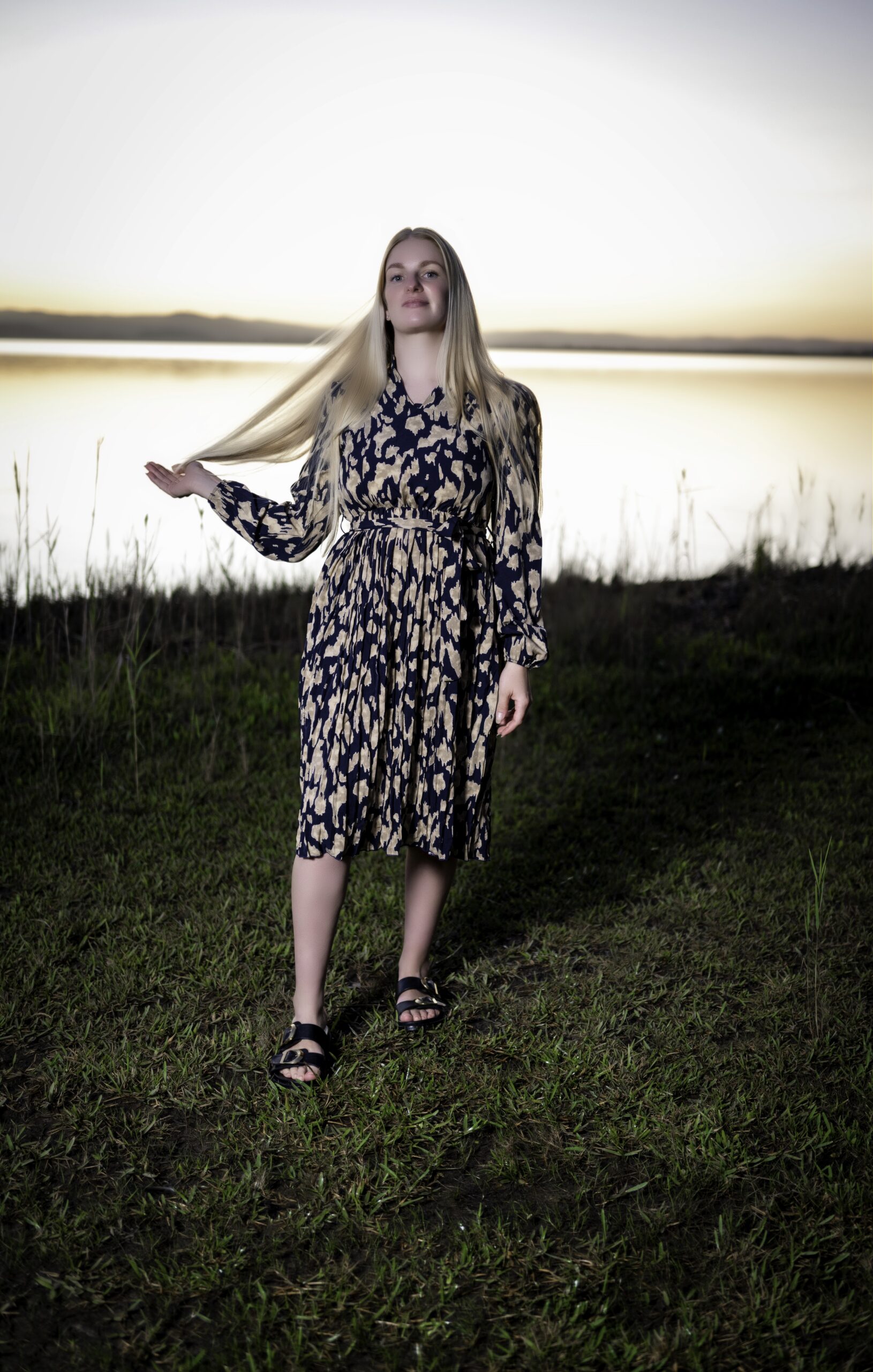 Pleated Print Dress