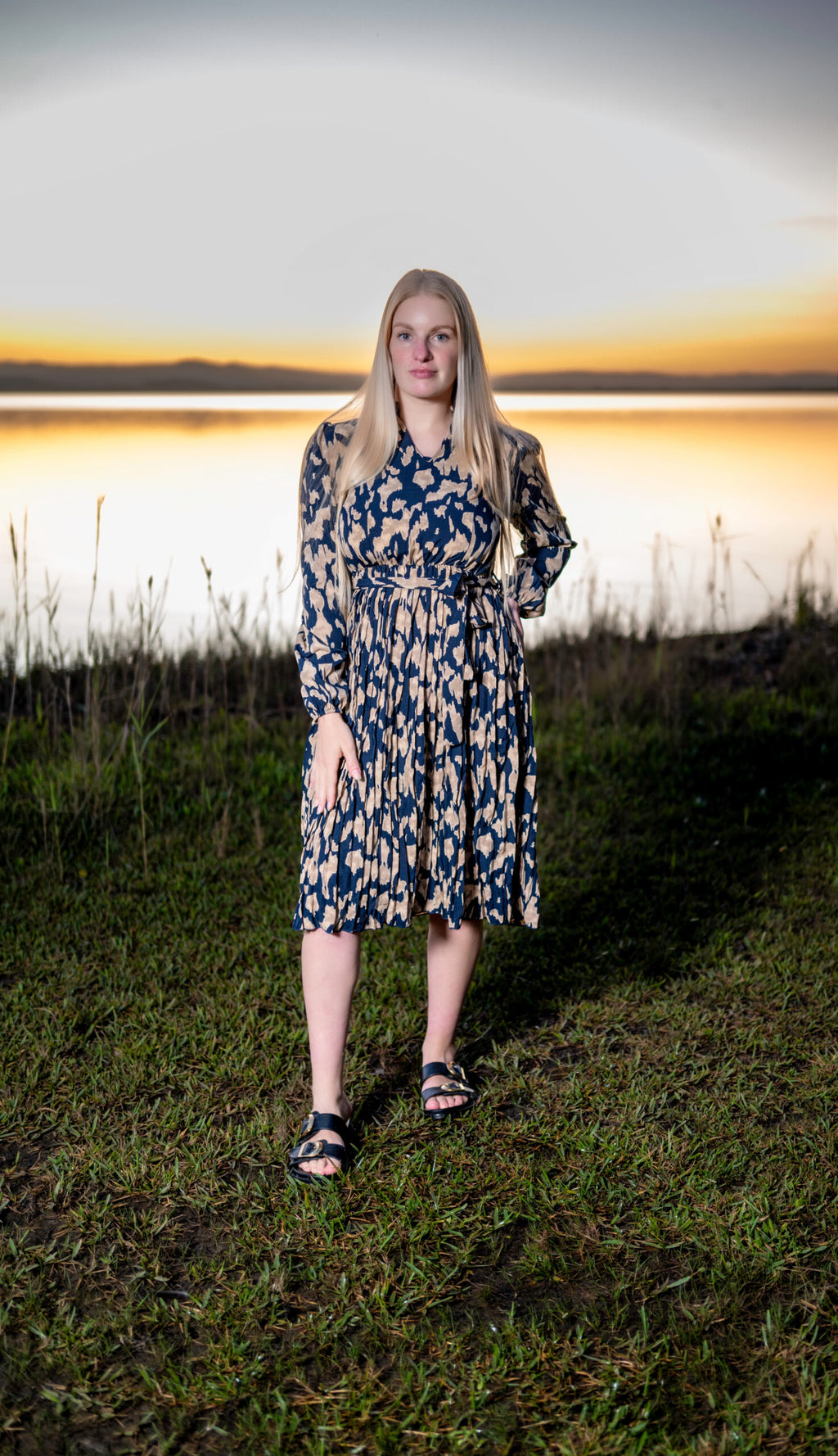 Pleated Print Dress